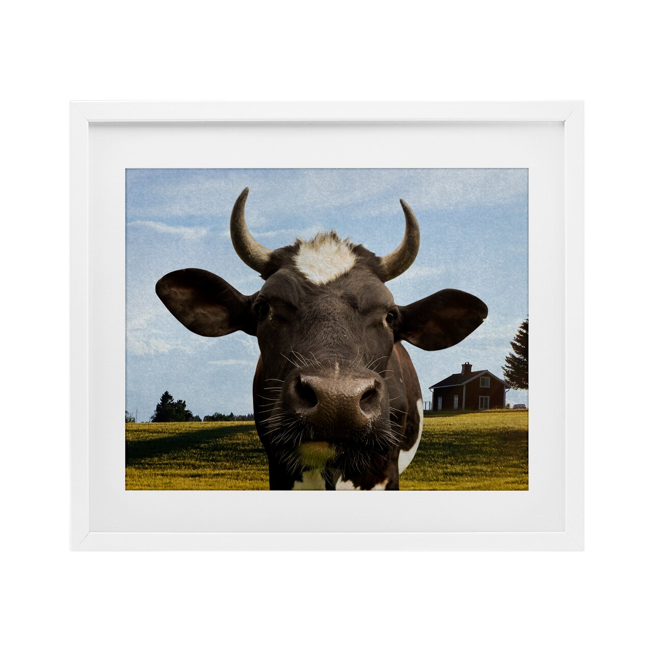 Stupell Industries Farm Cow with Curved Horns Framed Print Under Glass, design by Marcus Prime
